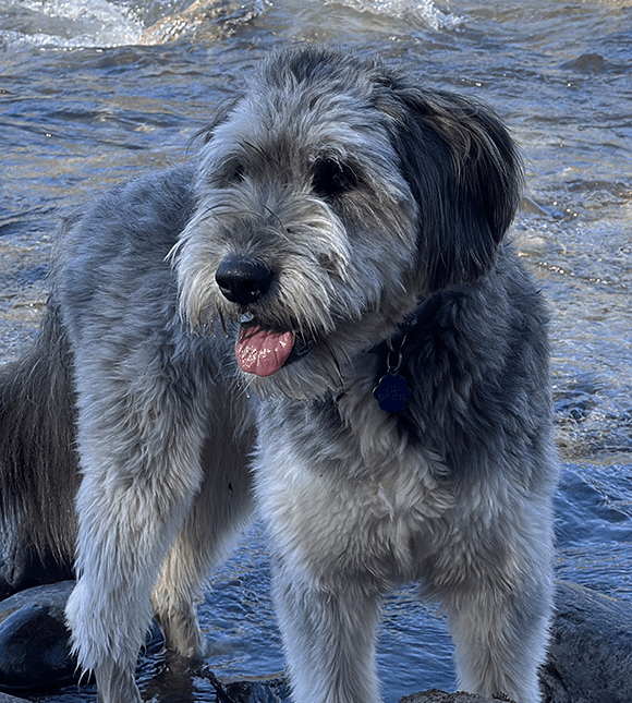 Milo